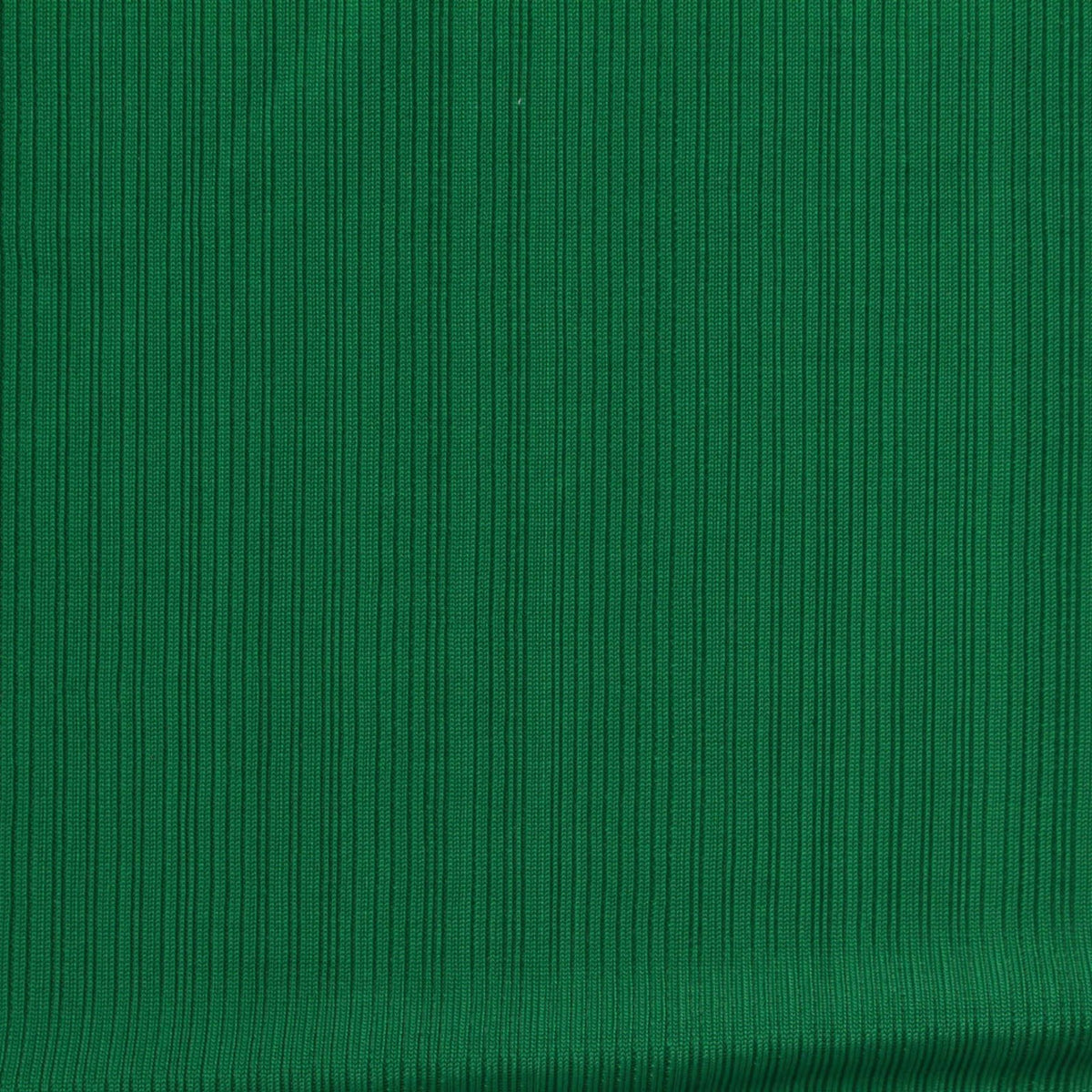 Polyester Stretch Rib Knit Fabric, 240 gsm, 160 cm — Green, ref EF-262317