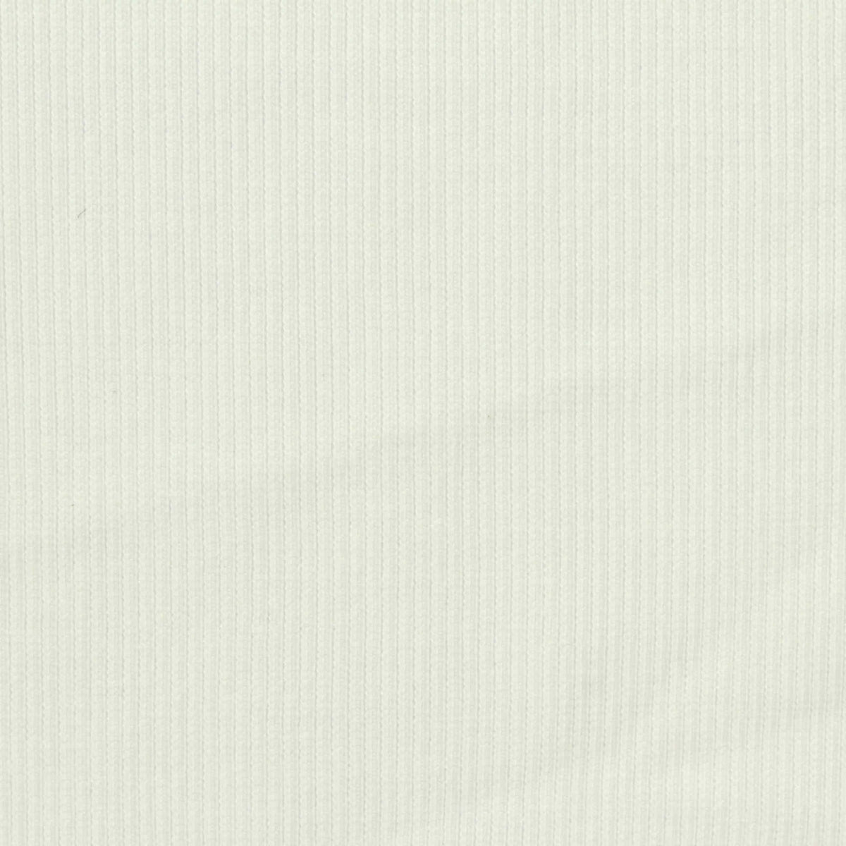 Polyester Cotton Stretch Rib Knit Fabric, 385 gsm, 140 cm — White
