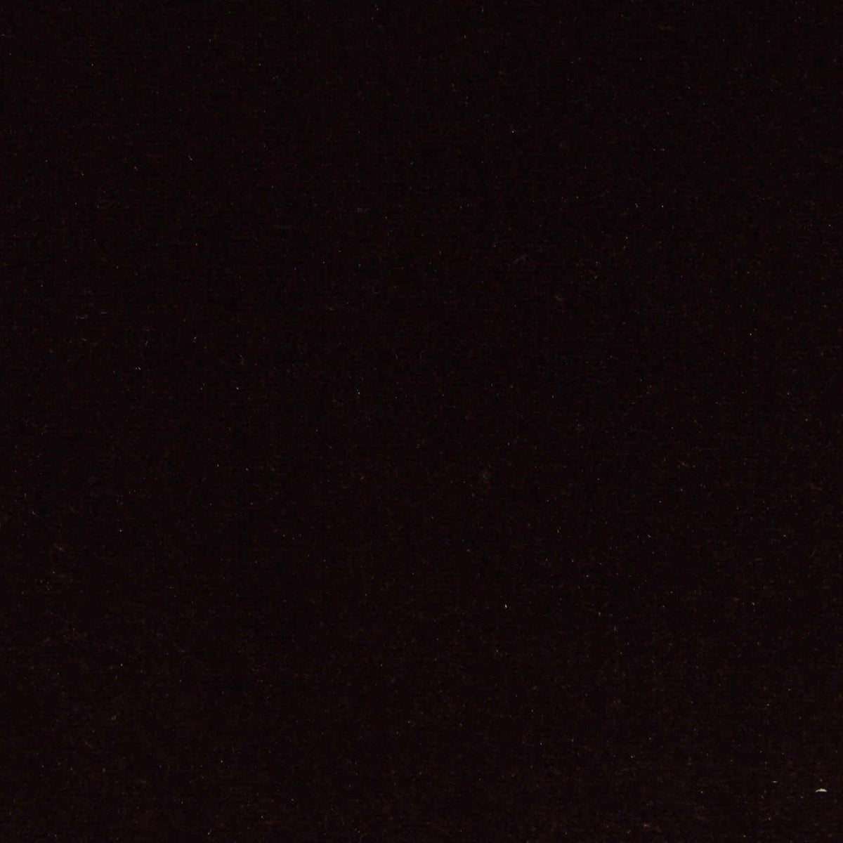 Polyester Stretch Velvet Fabric, 290 gsm, 160 cm — Black