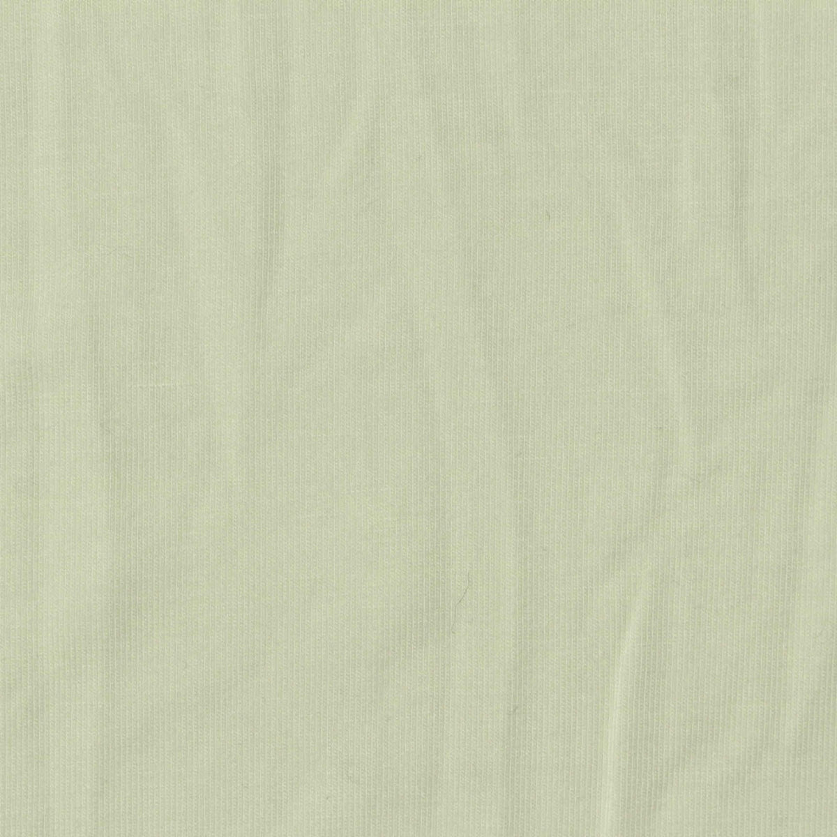 Acrylic Viscose Stretch Jersey Knit Fabric, 180 gsm, 170 cm — Green