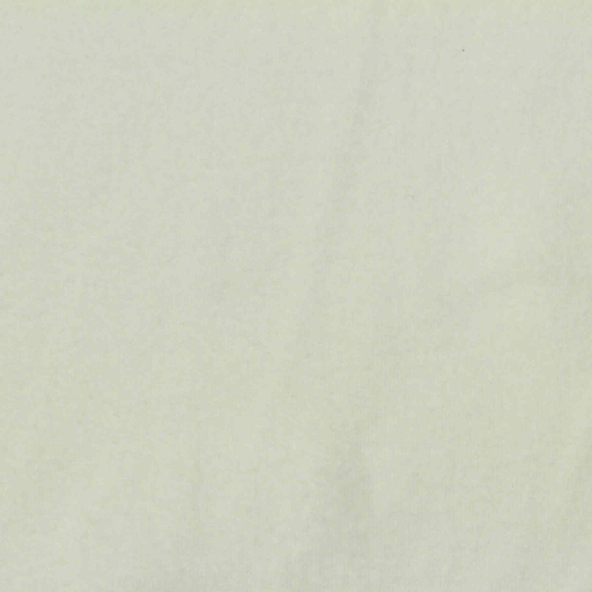 Polyester Stretch Velvet Fabric, 280 gsm, 170 cm — Khaki