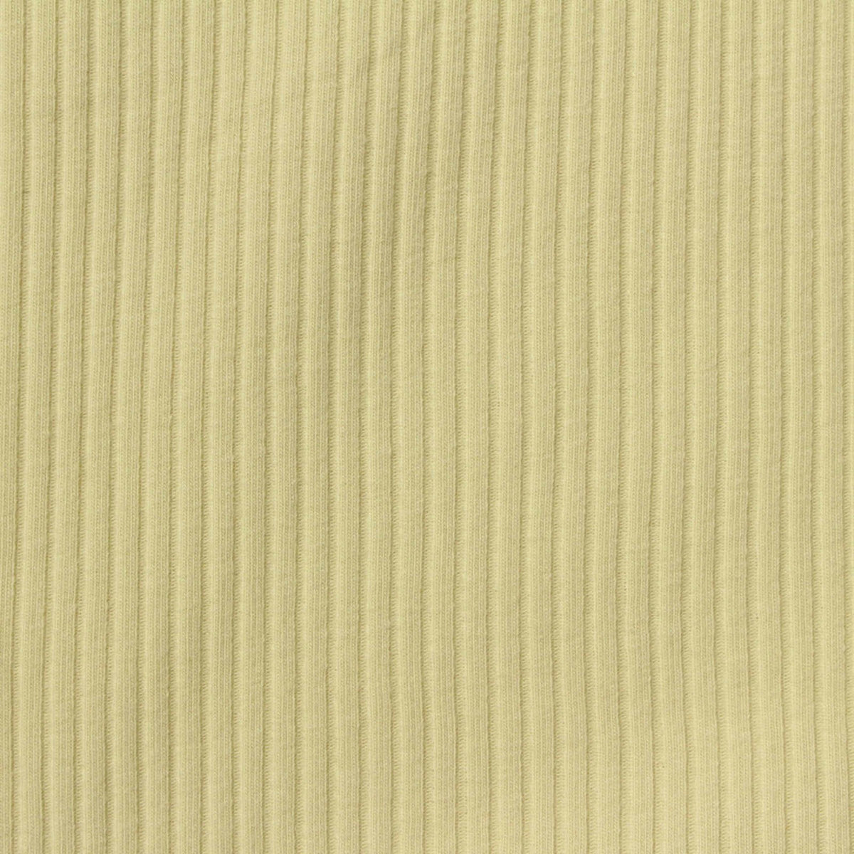 Cotton Stretch Rib Knit Fabric, 220 gsm, 140 cm — Khaki