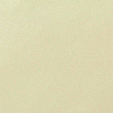 100% Polyester Woven Fabric, 188 gsm, 148 cm — Beige — texture