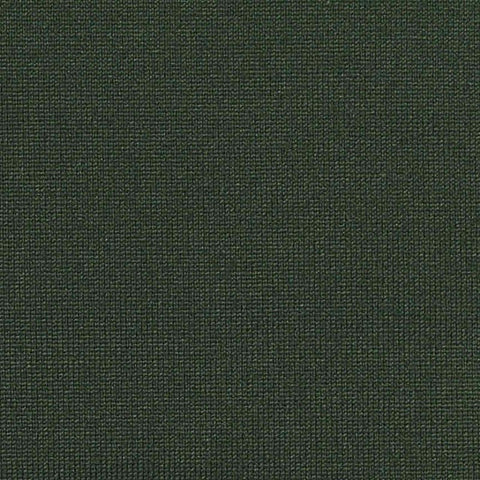 Nylon Stretch Jersey Knit Fabric, 220 gsm, 180 cm — Green, ref EF-262841