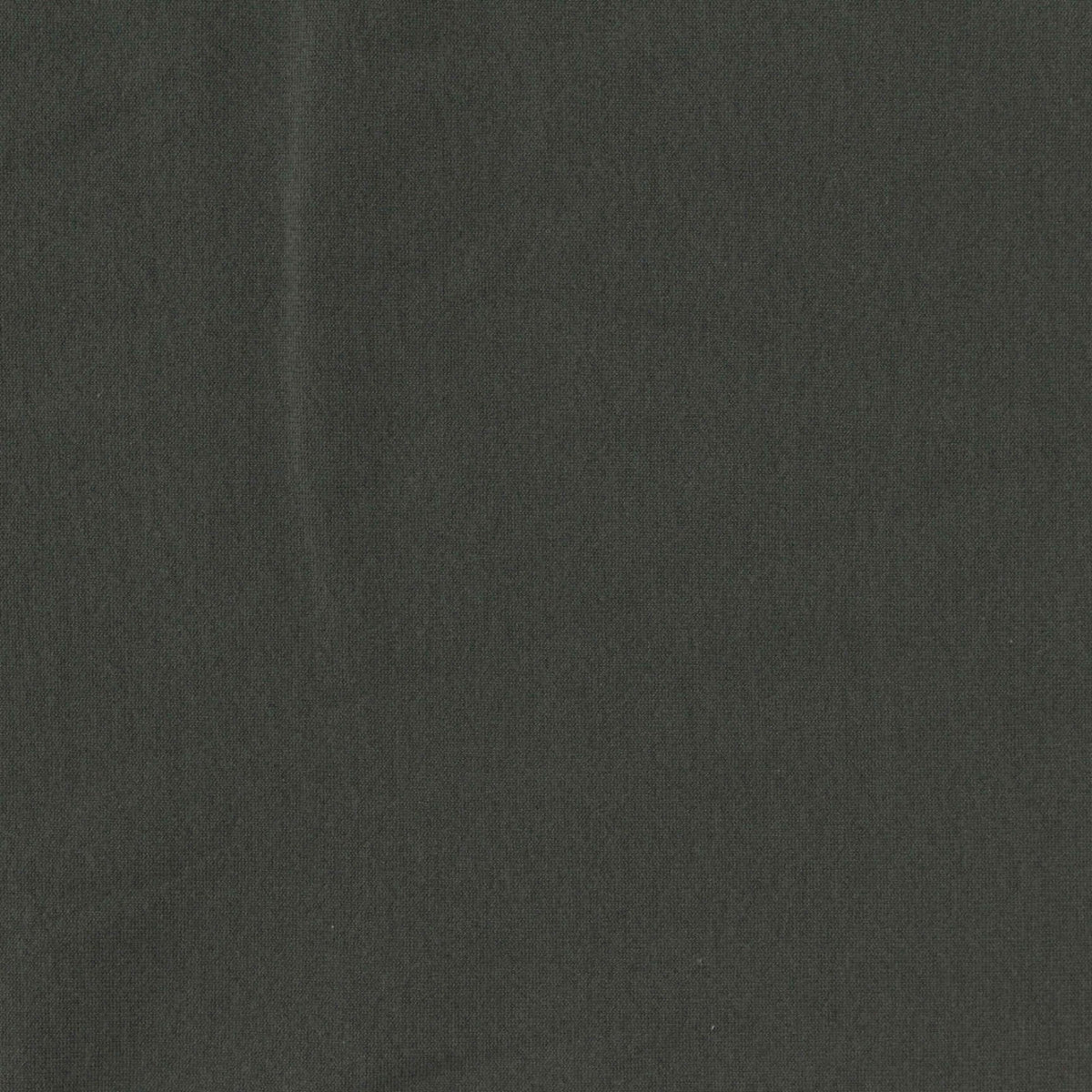 Brushed Nylon Stretch Warp Knit Fabric, 125 gsm, 152 cm — Green