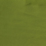 Nylon Stretch Interlock Knit Fabric, 205 gsm, 135 cm — Green