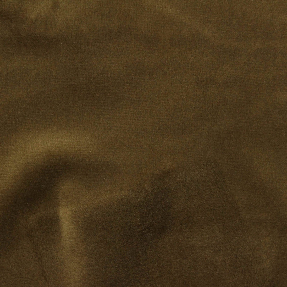 Polyester Stretch Warp Knit Fabric, 230 gsm, 164 cm — Khaki