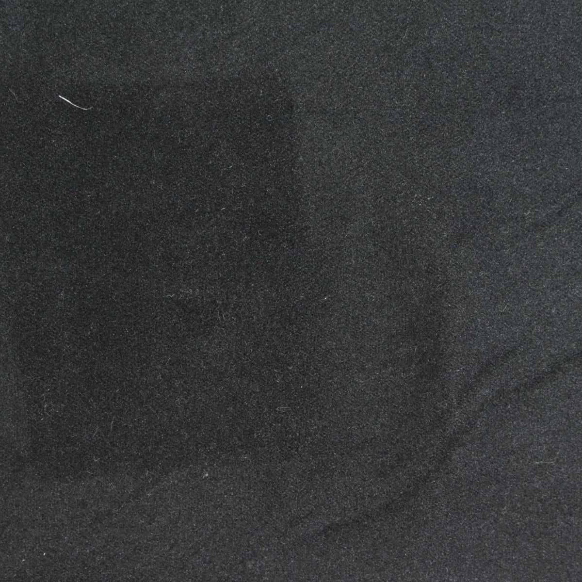 Brushed Polyester Stretch Piqué Knit Fabric, 168 gsm, 196 cm — Black