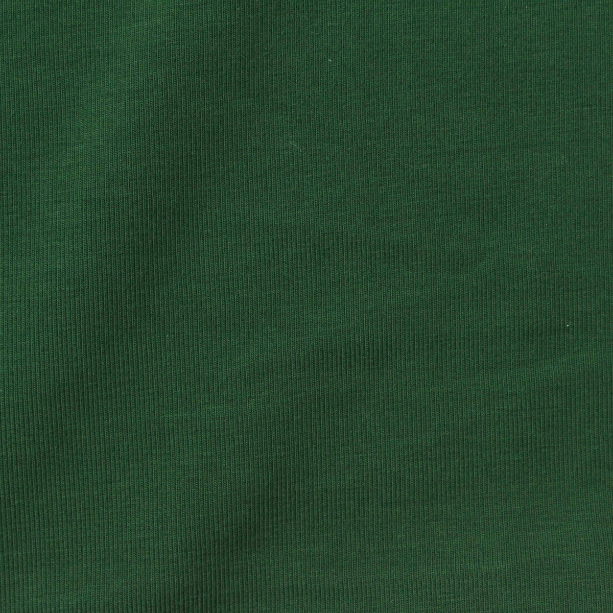 Cotton Stretch Jersey Knit Fabric, 160 gsm, 165 cm — Green