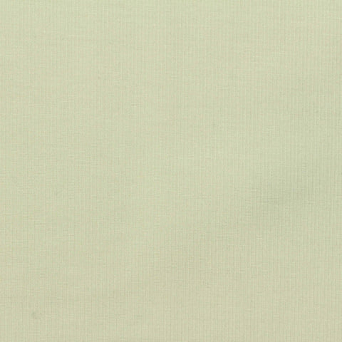 Polyester Viscose Stretch Scuba Knit Fabric, 300 gsm, 160 cm — Green
