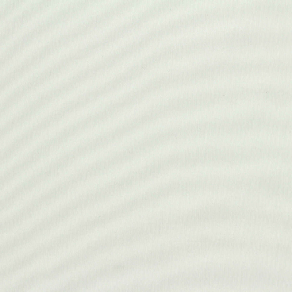 Polyester Stretch Warp Knit Fabric, 230 gsm, 165 cm — White