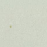 100% Polyester Interlock Knit Fabric, 220 gsm, 165 cm — Green — texture