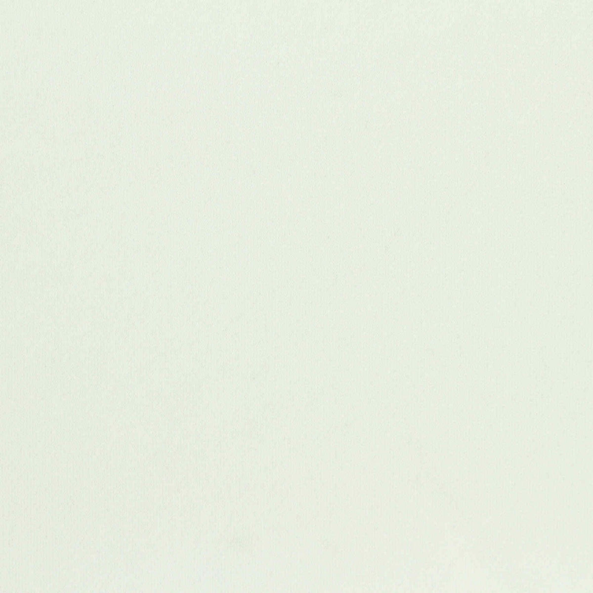 Pale Off-White Interlock Knit, Polyester