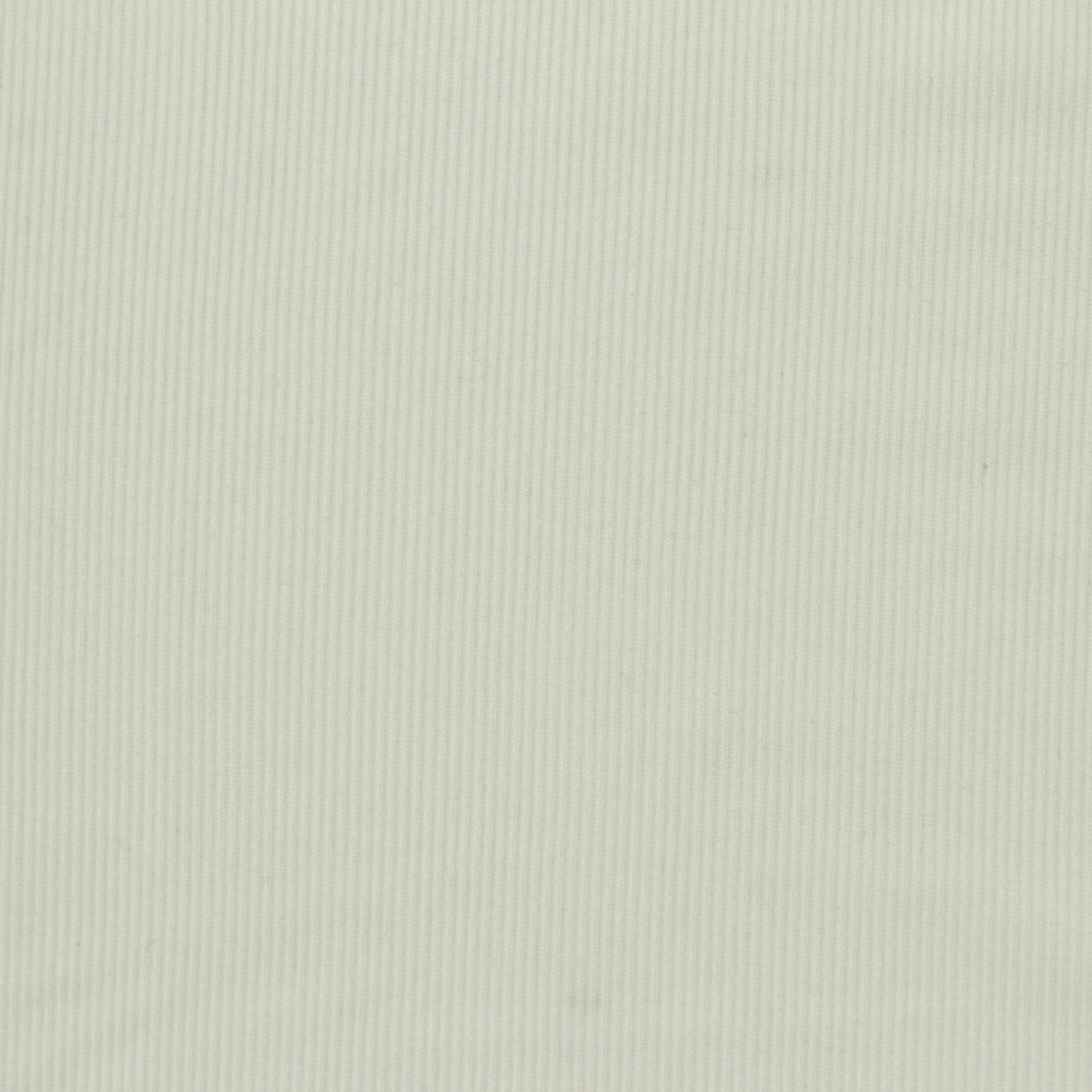 Polyester Stretch Rib Knit Fabric, 170 gsm — Green, ref EF-263424