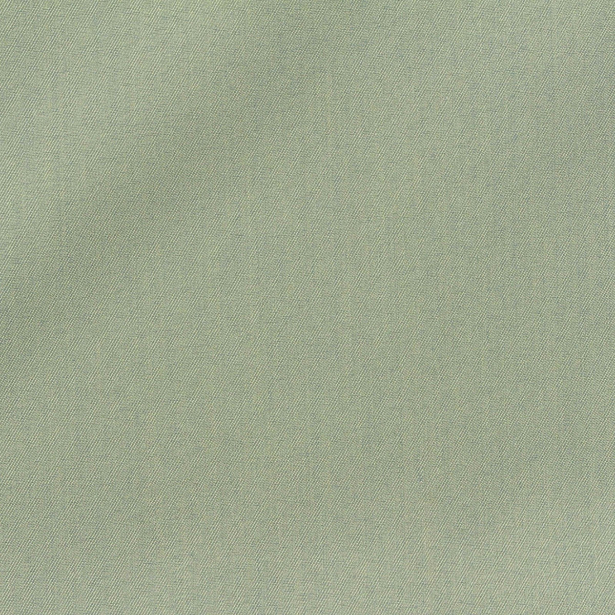 Pale Sage Twill