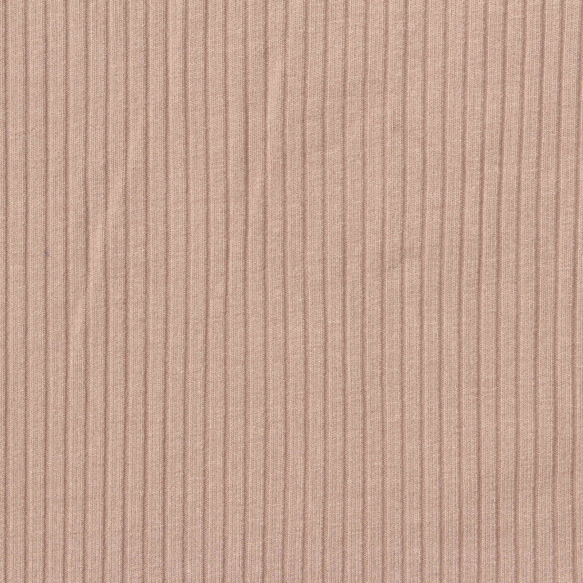 Stretch Rib Knit Fabric, 300 gsm — Beige