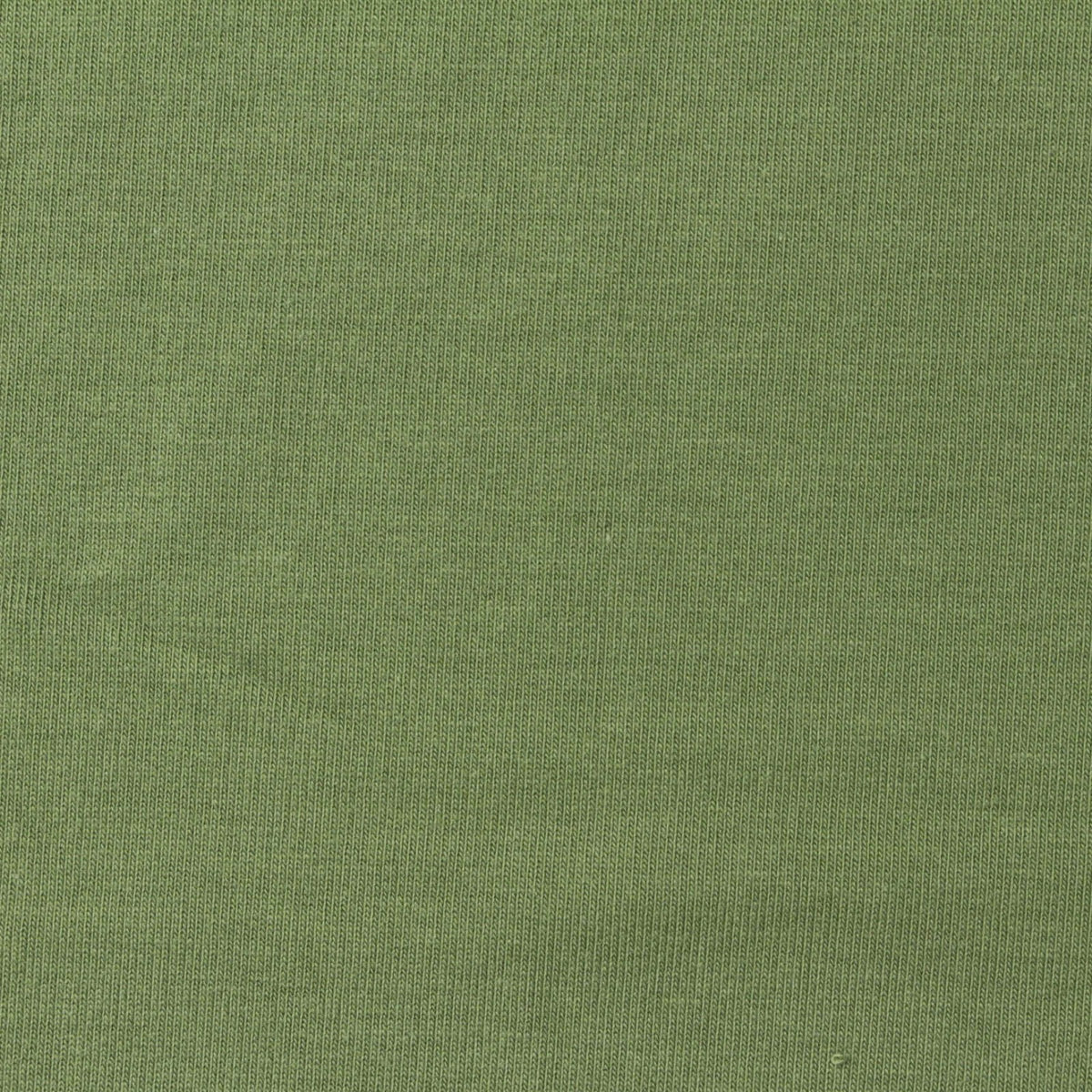 Cotton Stretch French Terry Fabric, 230 gsm, 160 cm — Green
