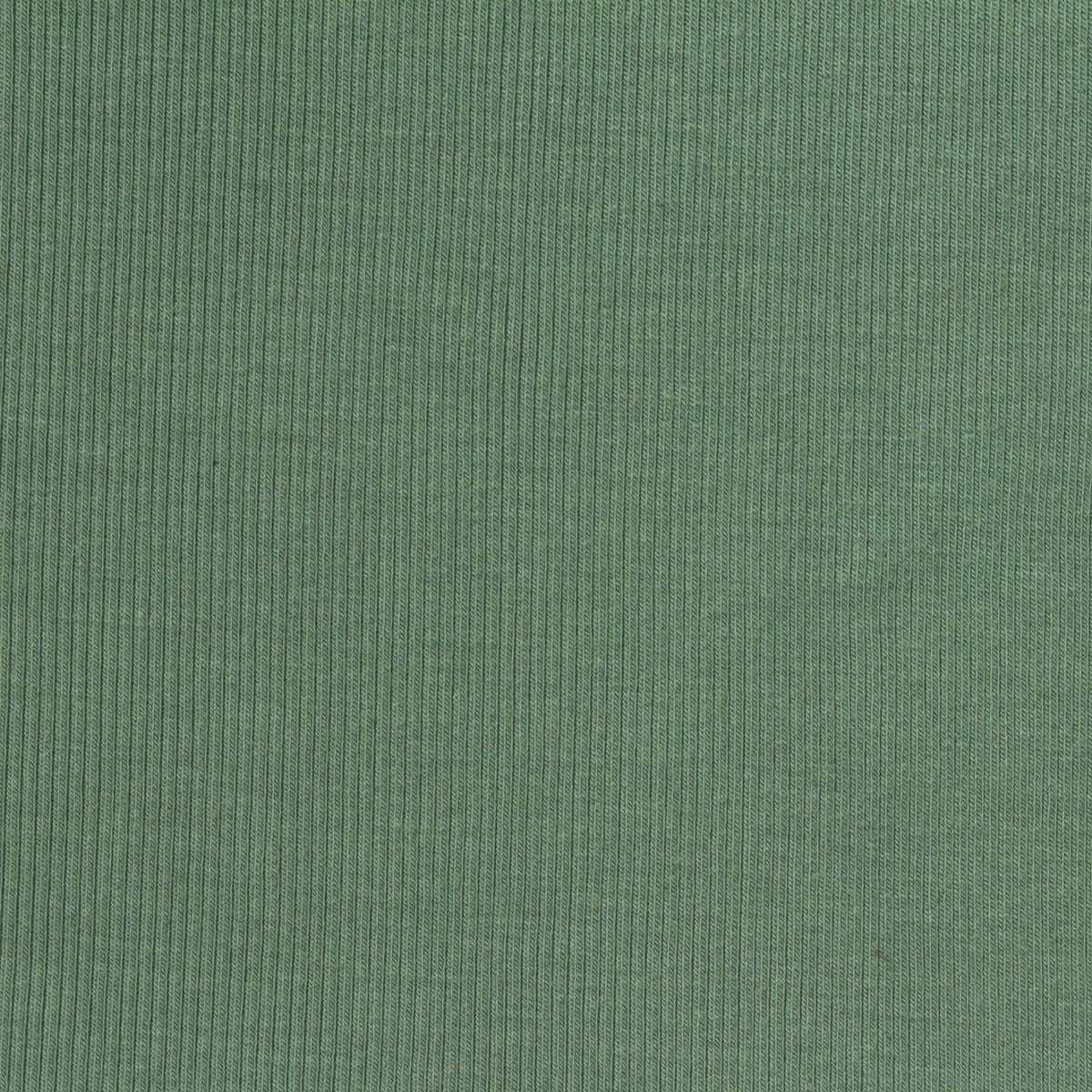 Brushed Viscose Stretch Rib Knit Fabric, 260 gsm, 154 cm — Green