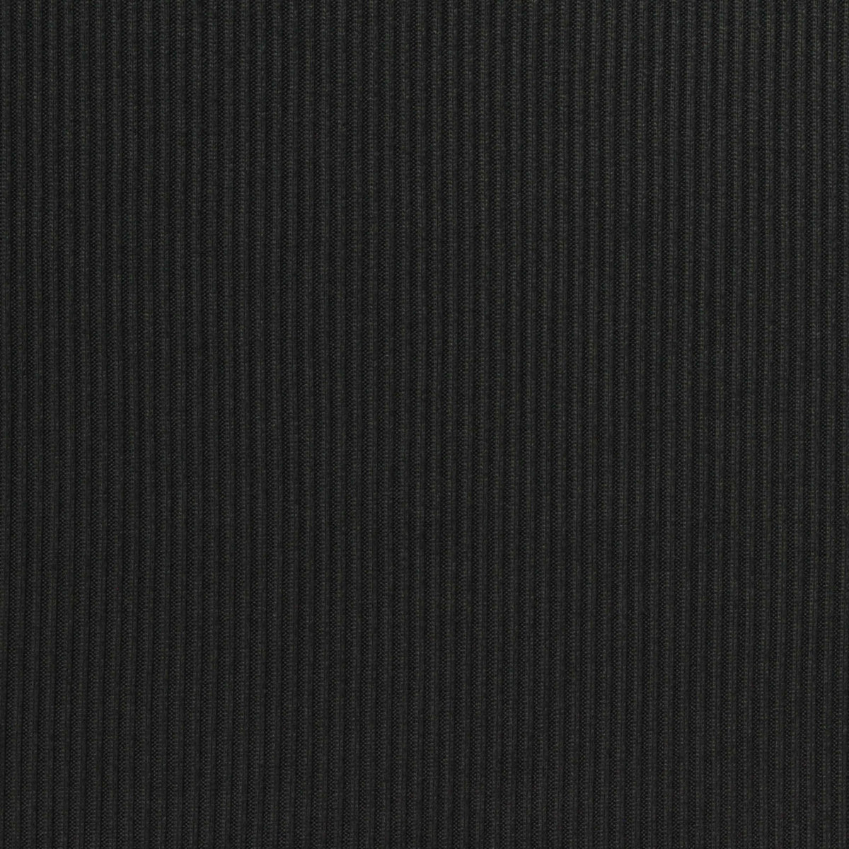 Brushed Polyester Stretch Rib Knit Fabric, 176 gsm, 146 cm — Black