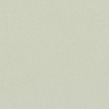 Polyester Stretch Scuba Knit Fabric, 310 gsm, 160 cm — Green — texture