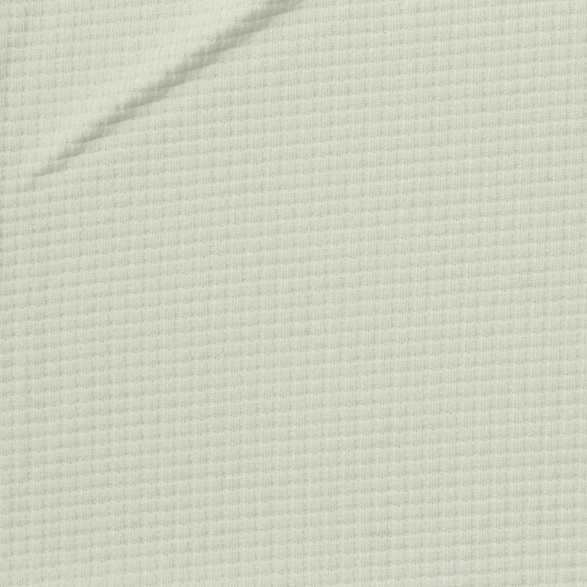 100% Polyester Waffle Knit Fabric, 260 gsm, 265 cm — Green