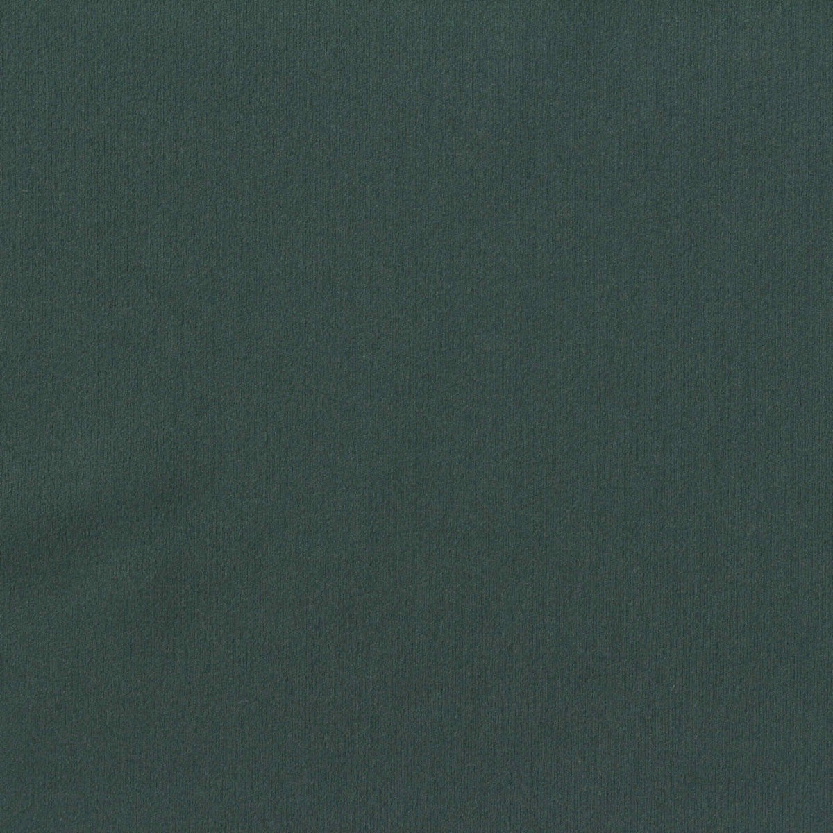Brushed Nylon Stretch Interlock Knit Fabric, 210 gsm, 150 cm — Green