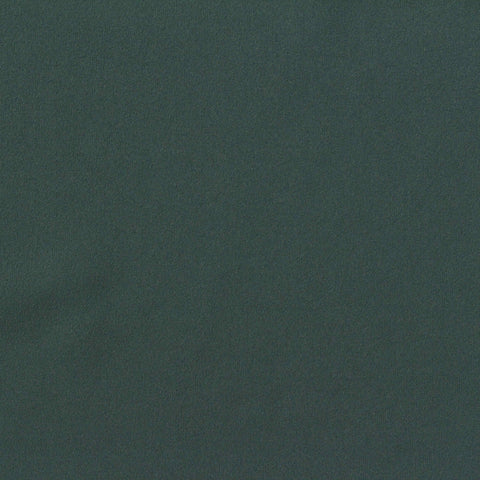 Brushed Nylon Stretch Interlock Knit Fabric, 210 gsm, 150 cm — Green