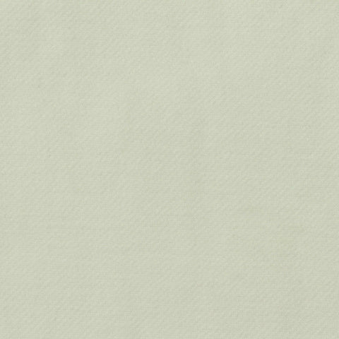 100% Polyester Fleece Fabric, 440 gsm, 137 cm — Green
