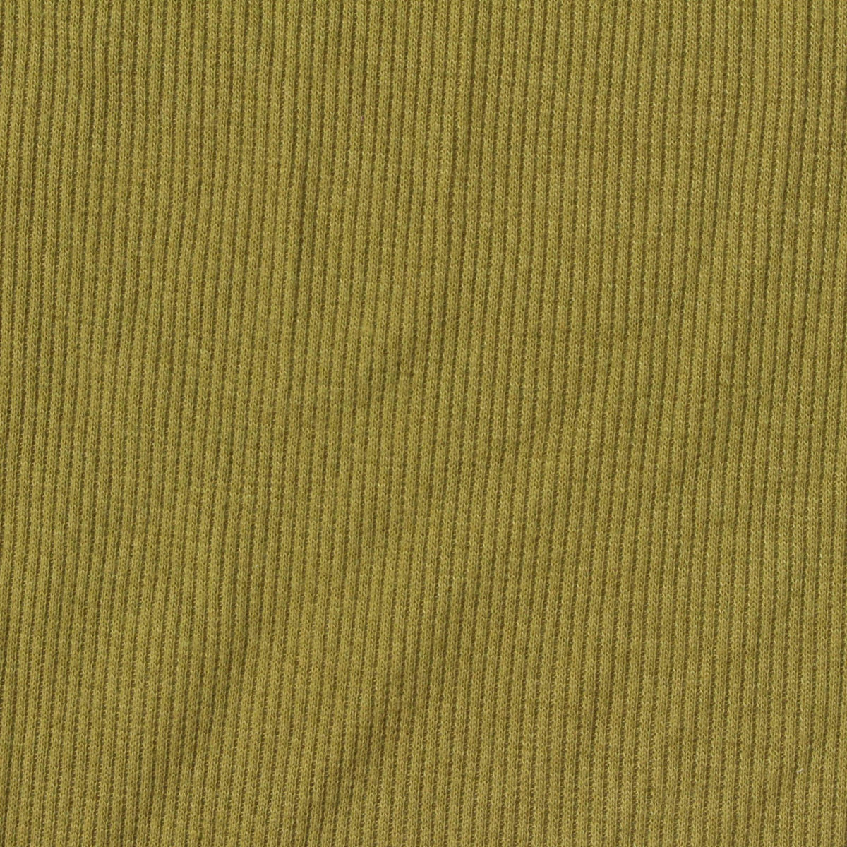 Polyester Stretch Rib Knit Fabric, 250 gsm, 150 cm — Khaki