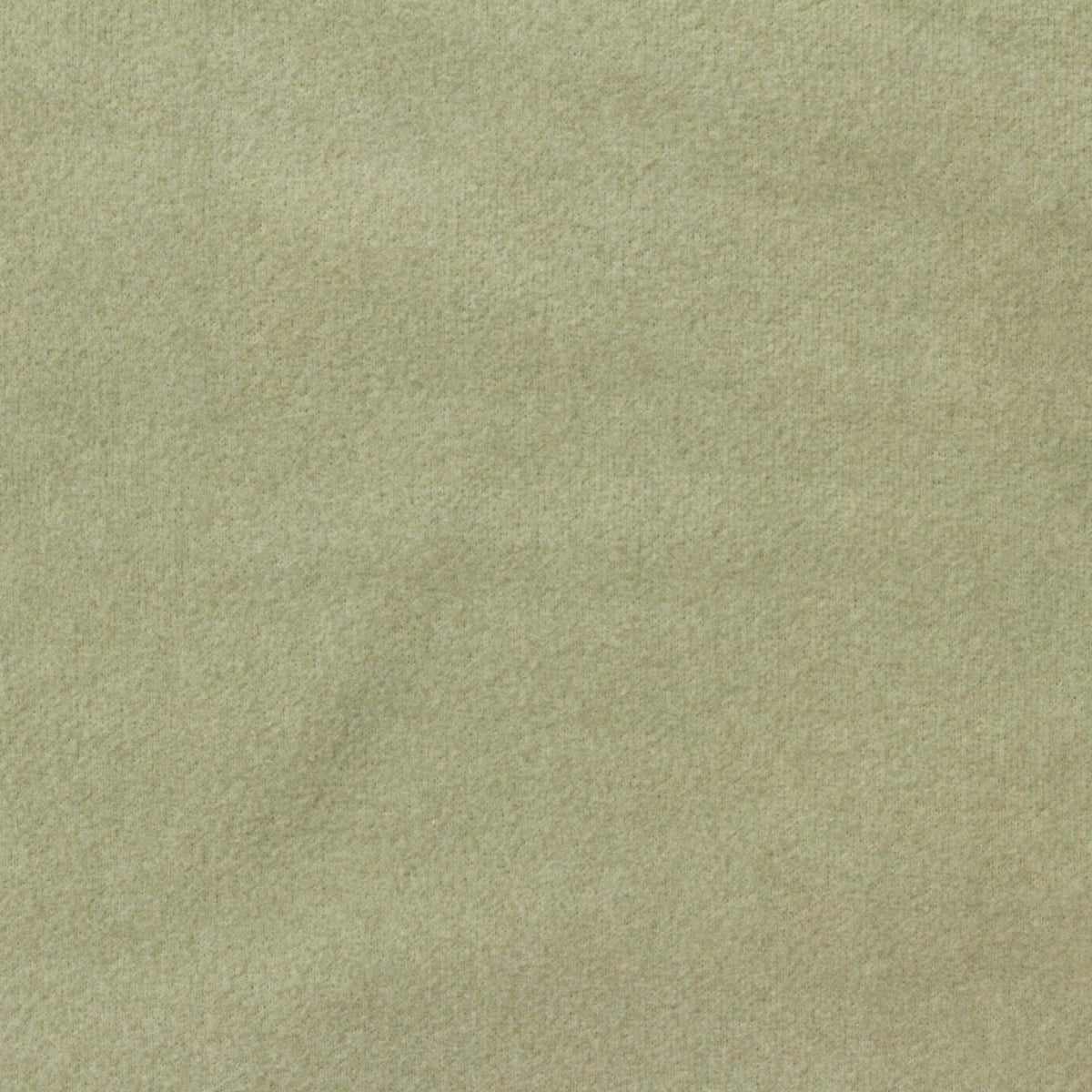 Polyester Stretch Velvet Fabric, 320 gsm, 180 cm — Khaki