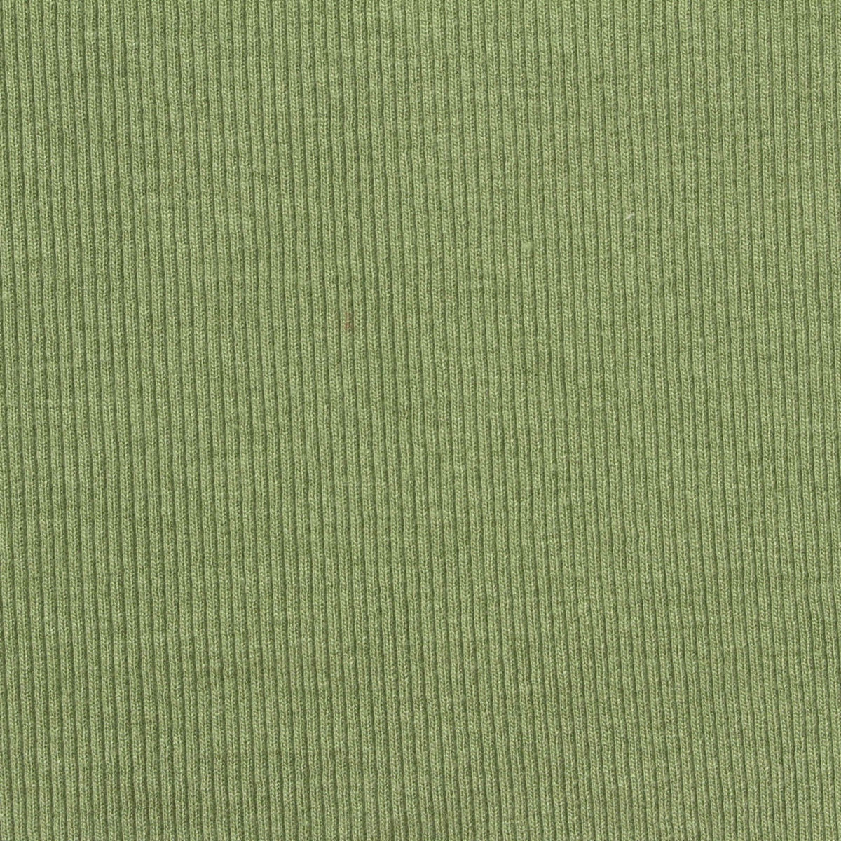 Viscose Stretch Rib Knit Fabric, 263 gsm, 125 cm — Green