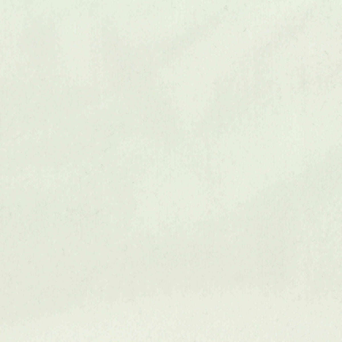 Brushed Nylon Stretch Interlock Knit Fabric, 230 gsm, 160 cm — Green
