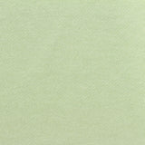 Cotton Polyester French Terry Fabric, 280 gsm, 170 cm — Green