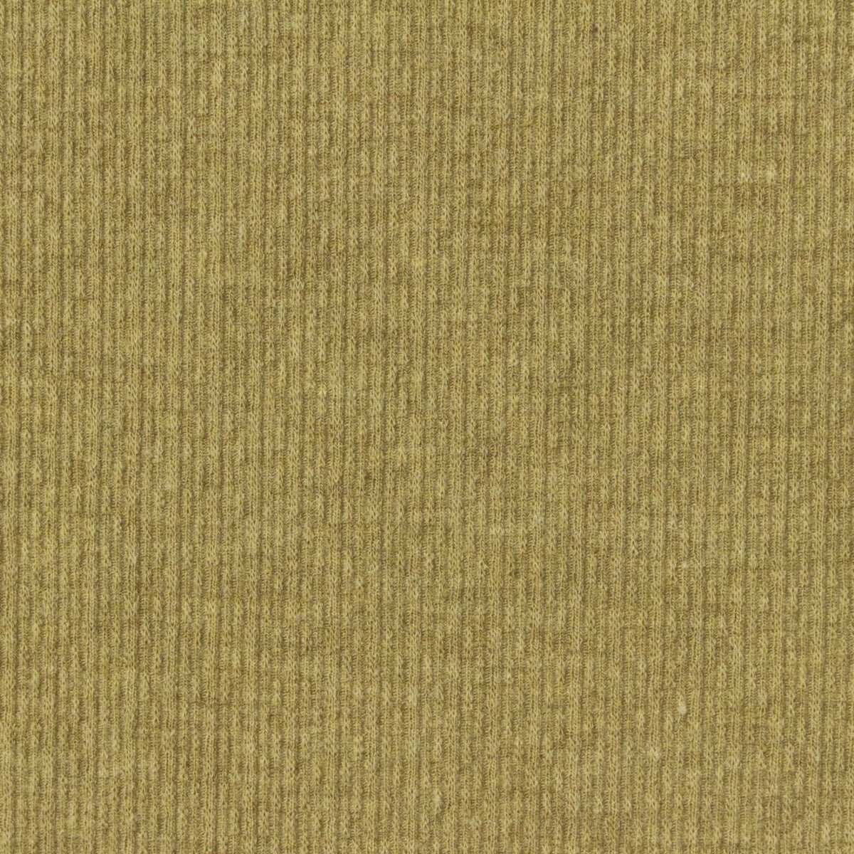 Jacquard Polyester Viscose Stretch Rib Knit Fabric, 230 gsm, 140 cm — Khaki