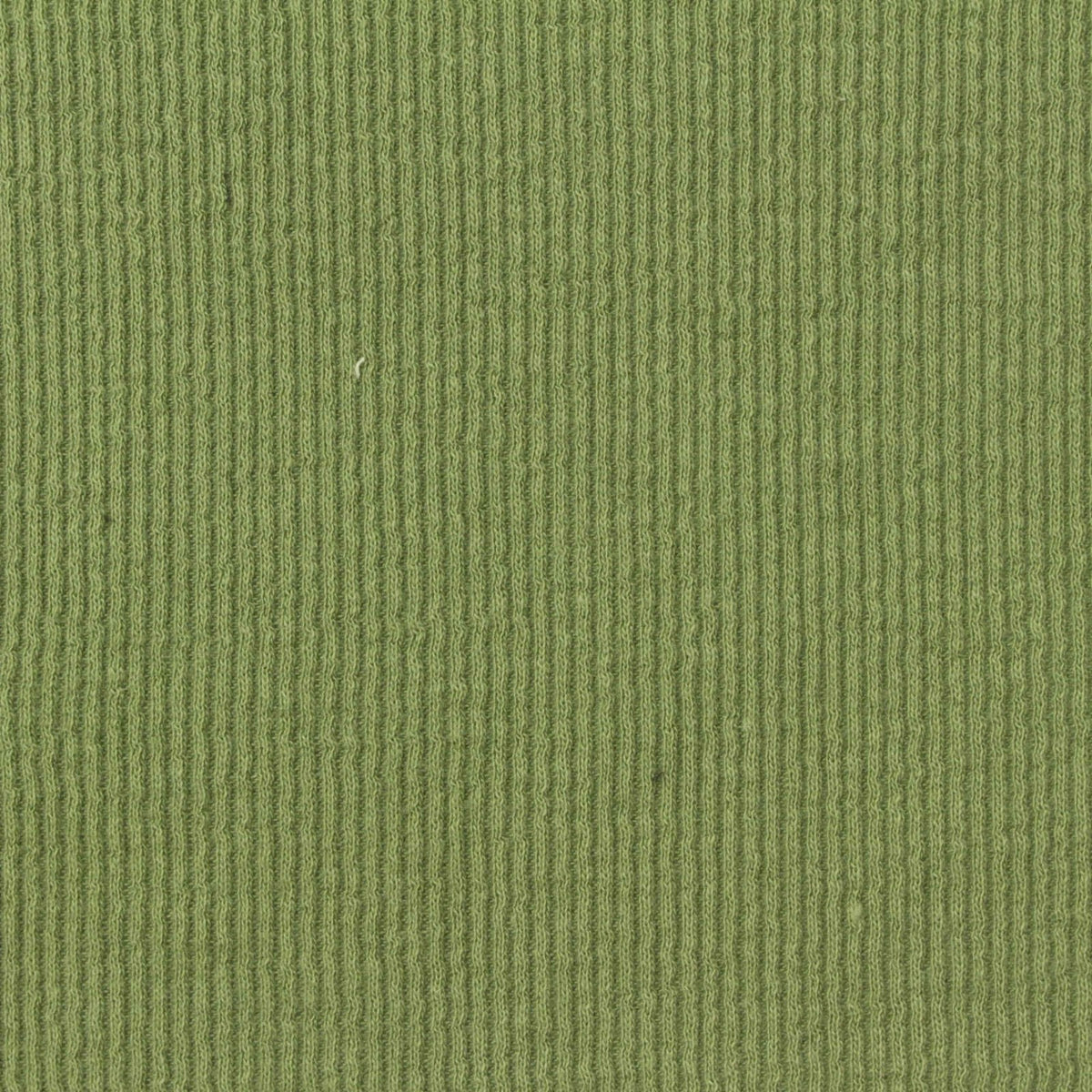 Cotton Stretch Rib Knit Fabric, 160 gsm, 120 cm — Green