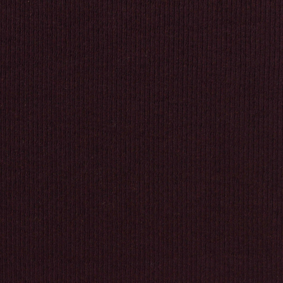 Cotton Stretch Rib Knit Fabric, 220 gsm, 130 cm — Brown