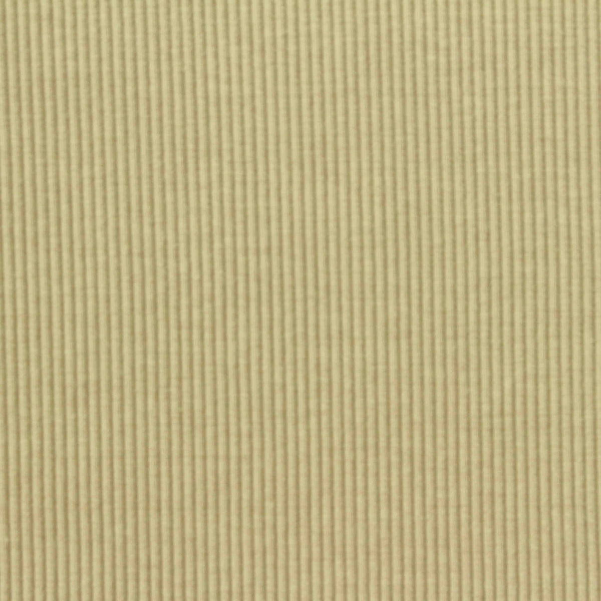 Cotton Polyester Stretch Rib Knit Fabric, 440 gsm, 135 cm — Khaki