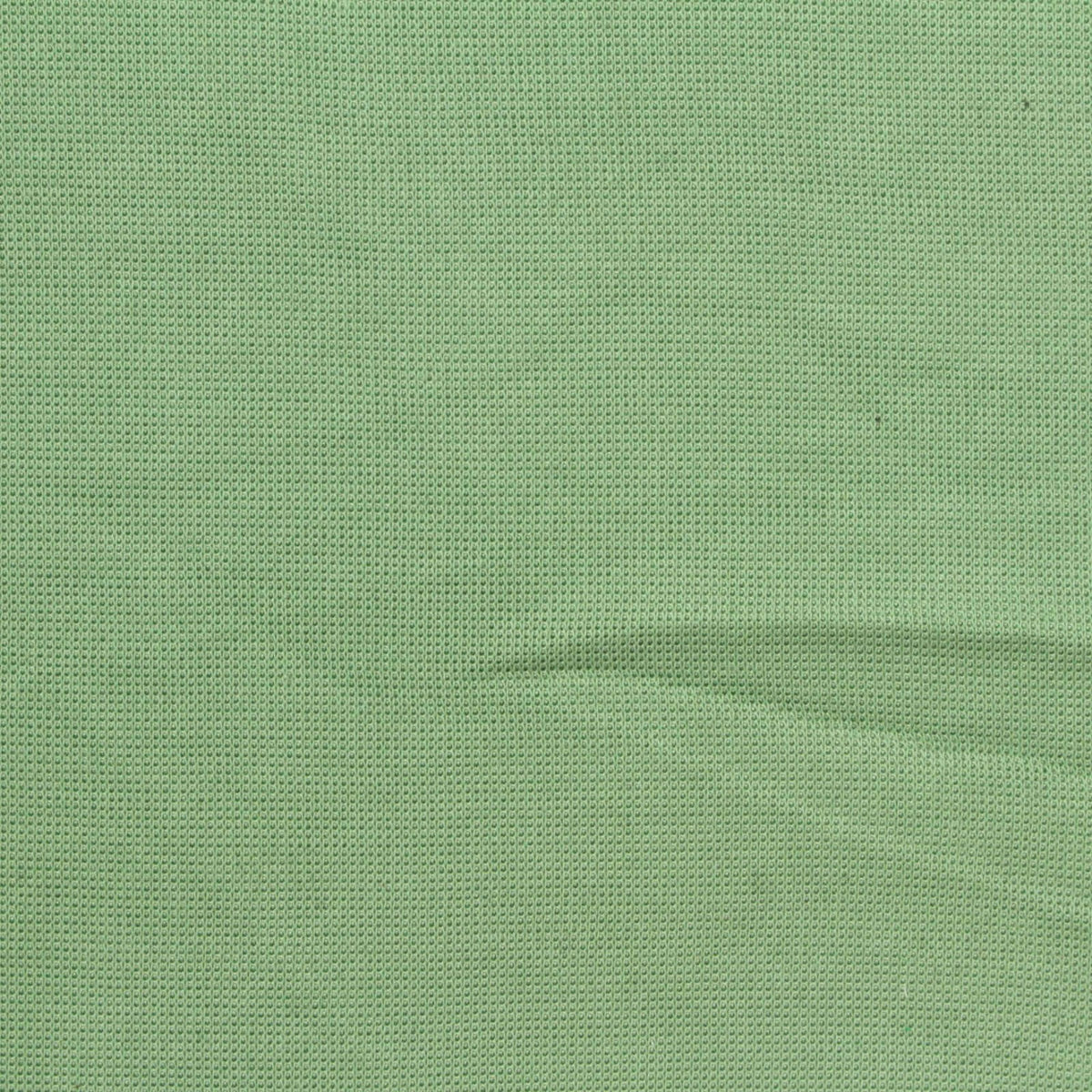 Polyester Cotton Scuba Knit Fabric, 350 gsm, 185 cm — Green