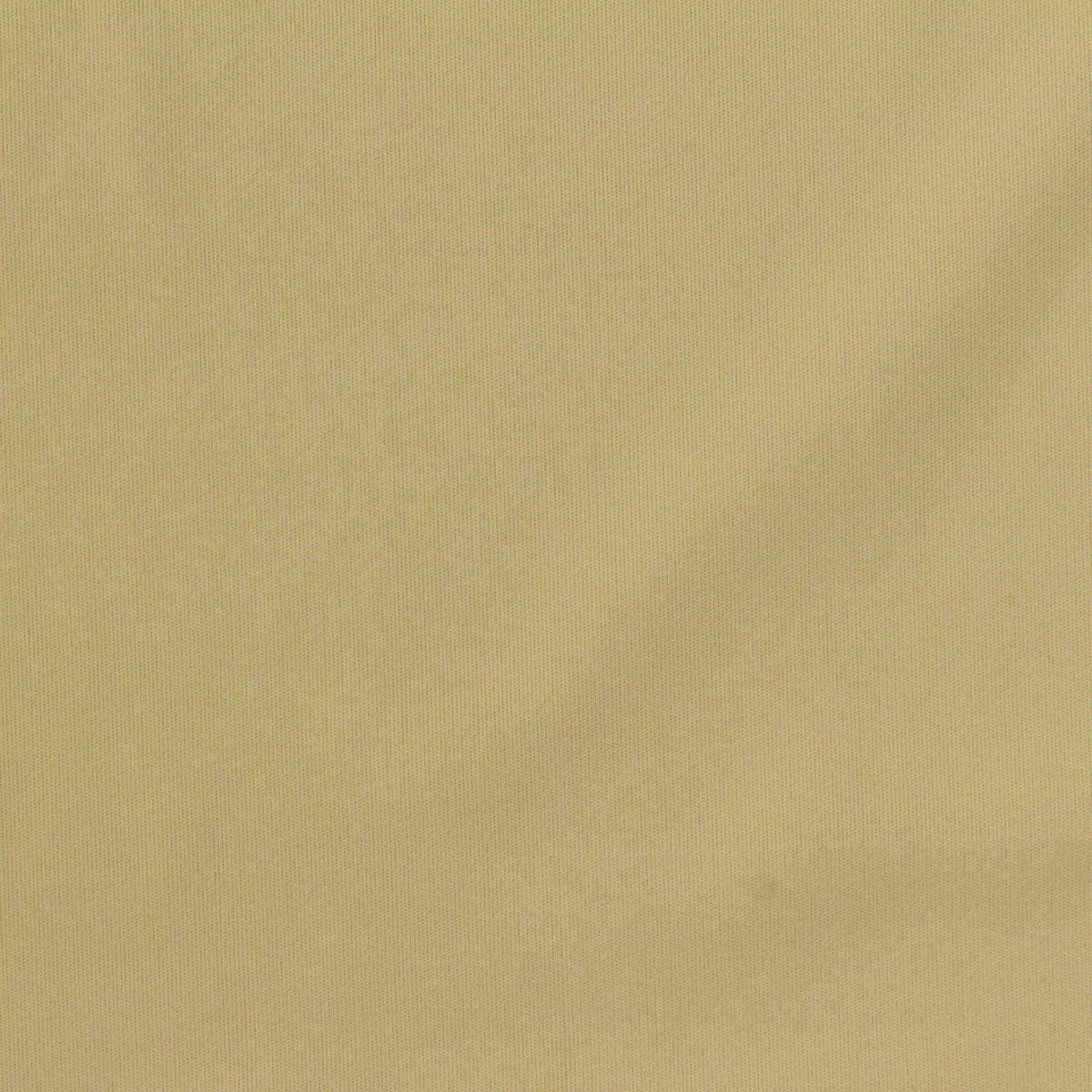 Nylon Stretch Interlock Knit Fabric, 165 gsm, 170 cm — Khaki