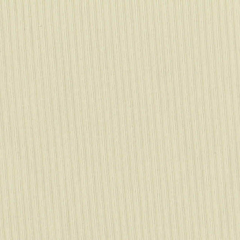 Nylon Stretch Rib Knit Fabric, 140 gsm, 160 cm — Beige