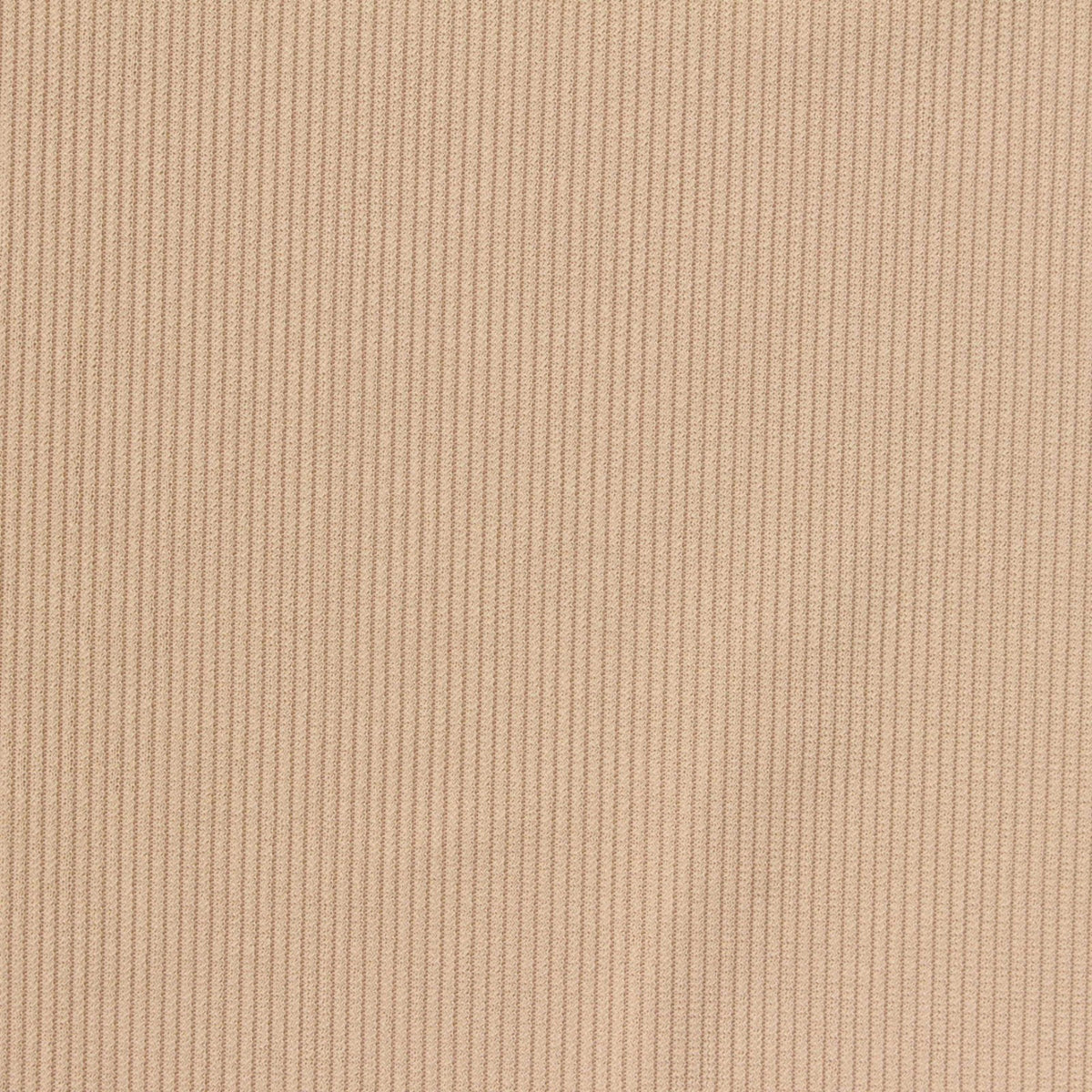 Polyester Stretch Rib Knit Fabric, 210 gsm, 165 cm — Beige