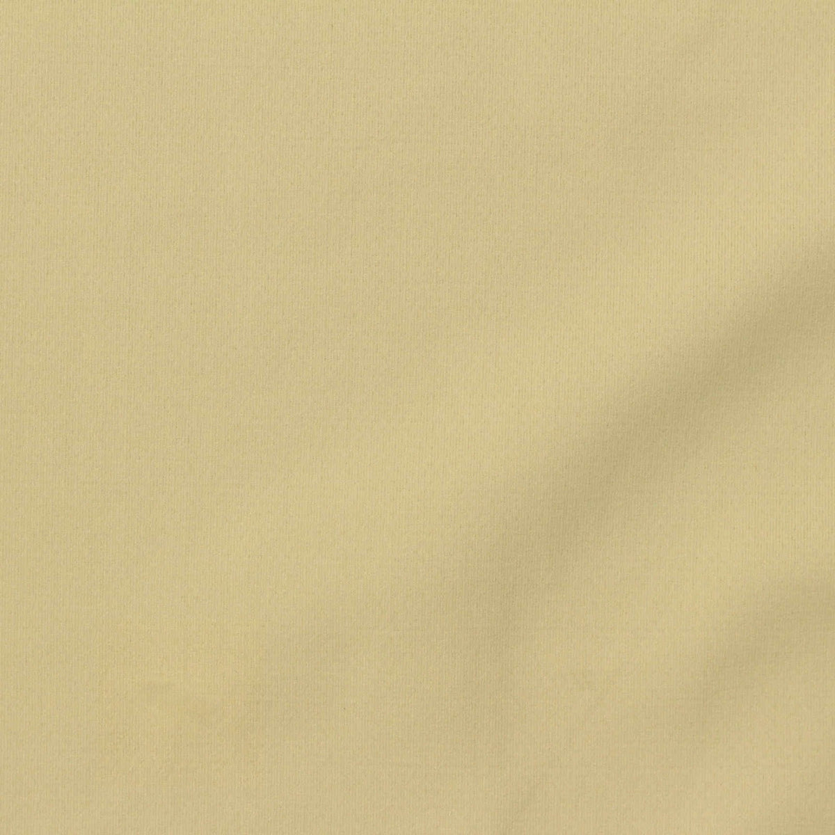 Nylon Stretch Interlock Knit Fabric, 190 gsm, 160 cm — Khaki