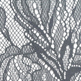 Charcoal Floral Lace, Nylon — texture