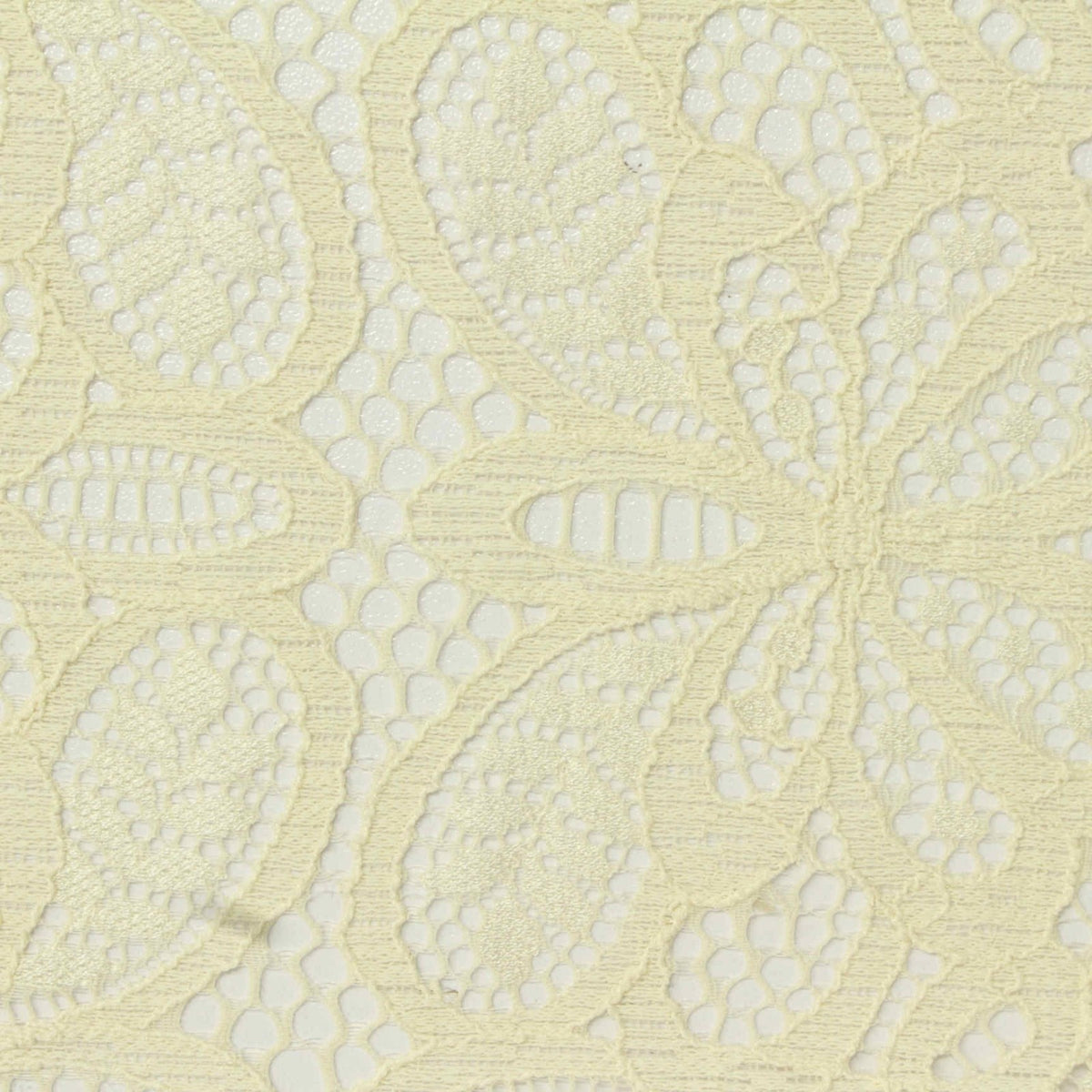 Cream Floral Lace, Nylon, 116 gsm