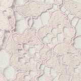 Blush Bold-Floral Lace, Nylon — texture