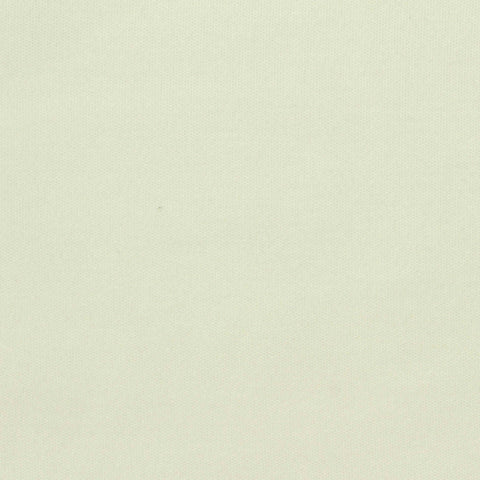 Viscose Acrylic Blend Stretch Velvet Fabric, 260 gsm, 185 cm — White