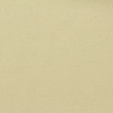 100% Polyester Knit Fabric, 420 gsm, 160 cm — Beige