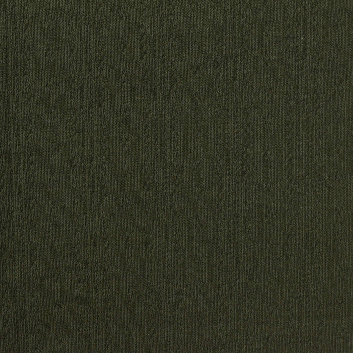 Jacquard Cotton Stretch Pointelle Knit Fabric, 210 gsm, 145 cm — Green