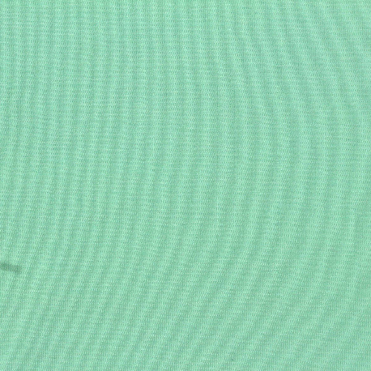 Tencel Lyocell Stretch Jersey Knit Fabric, 190 gsm, 170 cm — Green