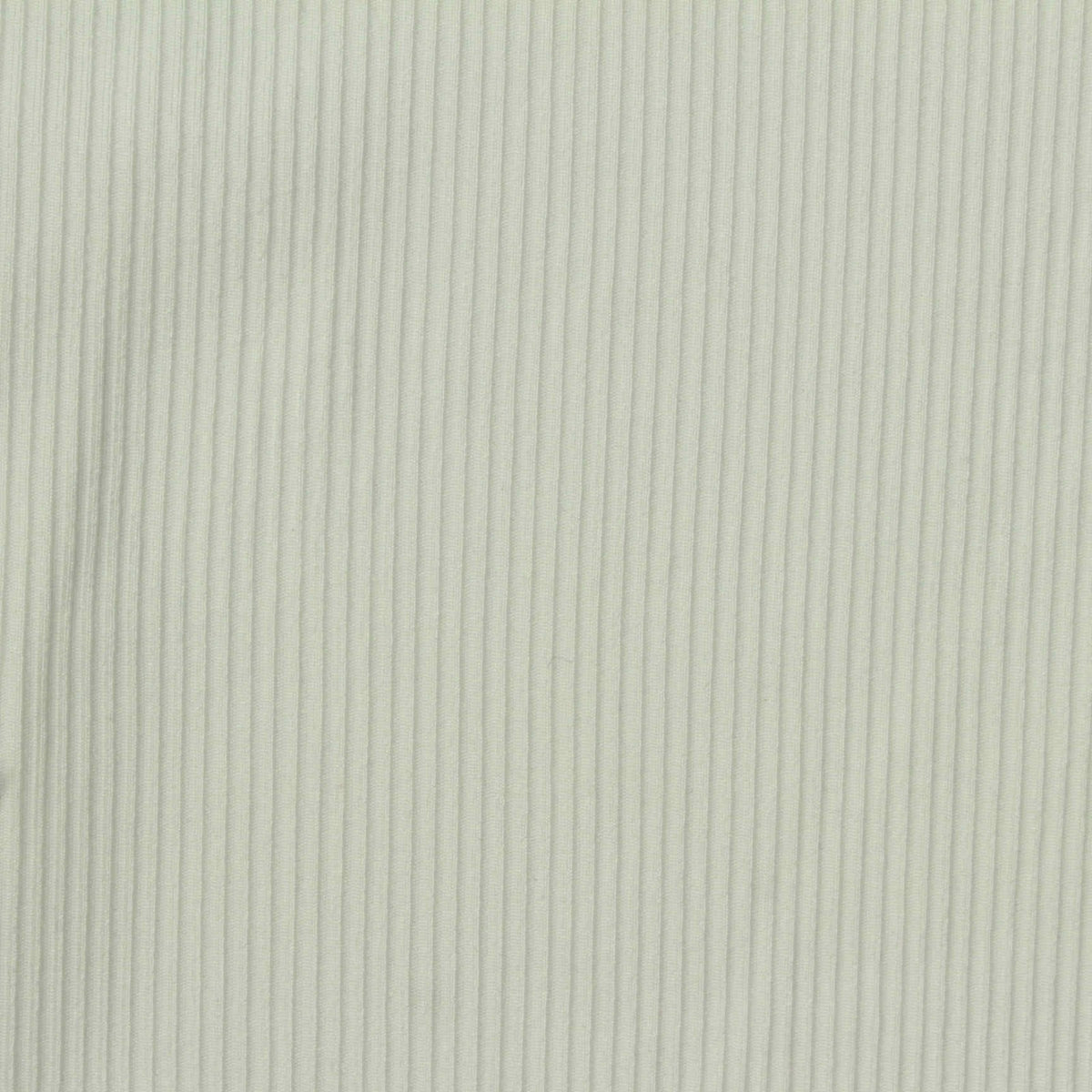 Polyester Stretch Rib Knit Fabric, 260 gsm, 150 cm — White, ref EF-265850